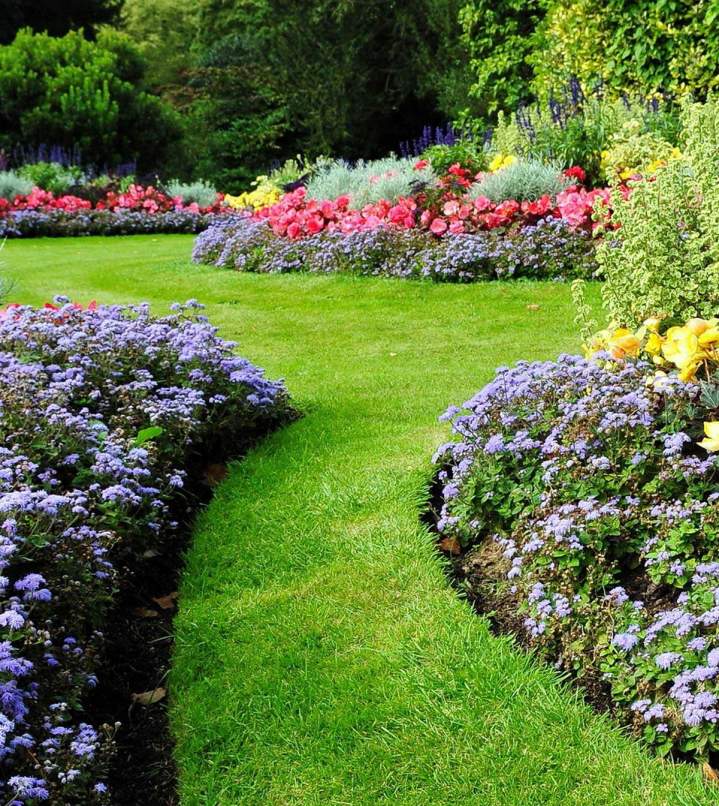 Laissez-moi sublimer votre jardin avec des massifs bien fleuris.
