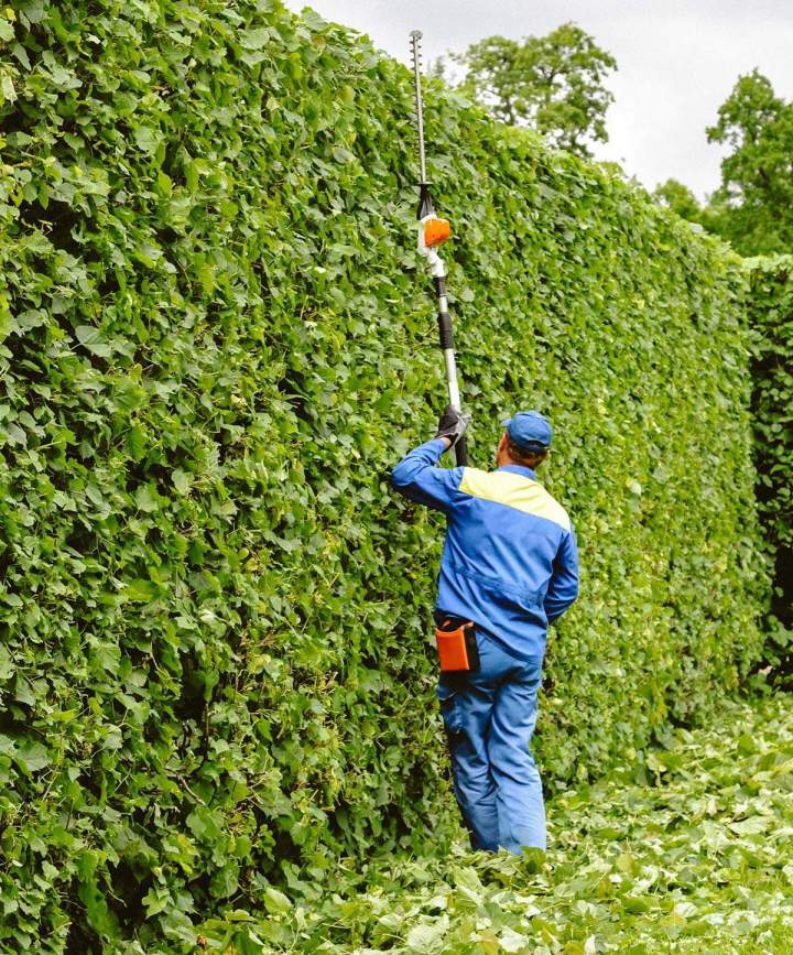 Comptez sur moi pour donner de belles formes à vos haies.