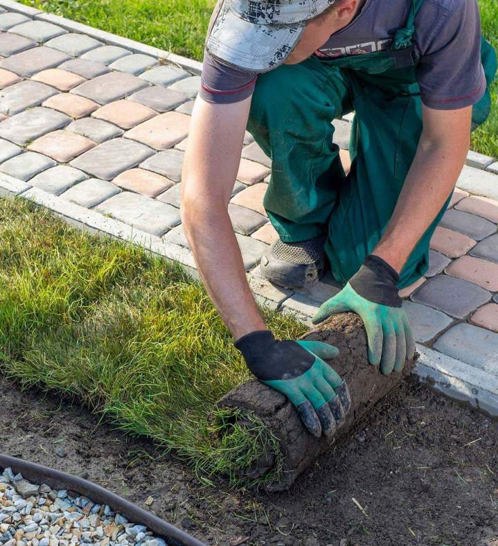Ayez recours à mes services pour créer un espace verdoyant.