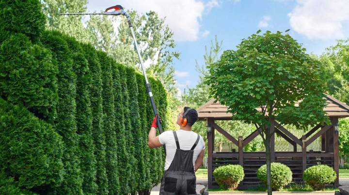 Service d'entretien de haies Le Vernet