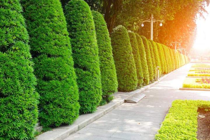 Entretien de jardins Le Vernet
